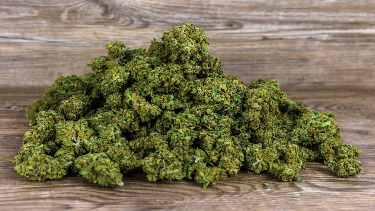 Indoor vs. Outdoor: Der beste Anbauort für Cannabis Samen