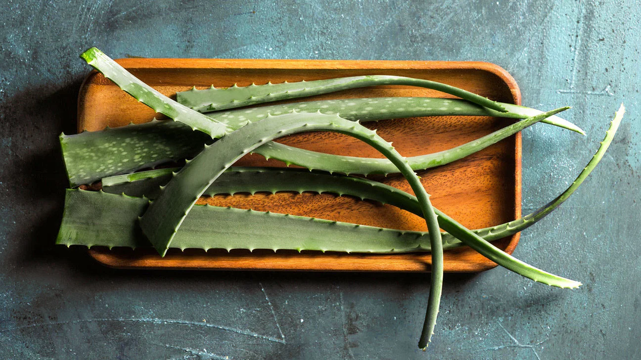 Aloe Vera Ever Shield – Ein unverzichtbares Produkt für unabhängige Distributor von Forever Living Products