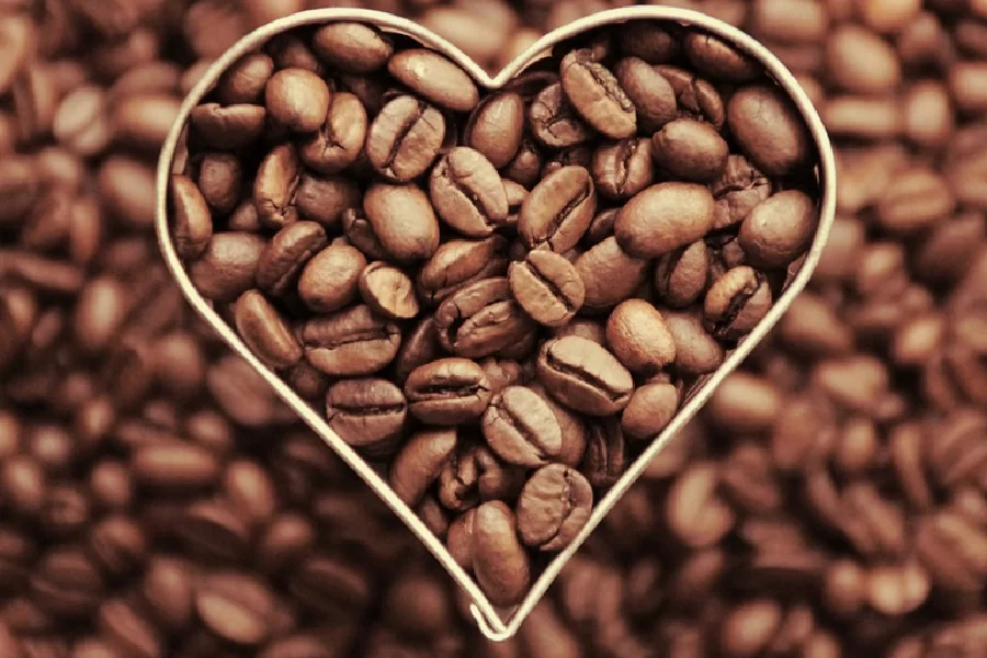 Gute Kaffeebohnen: Die Basis für guten Kaffee