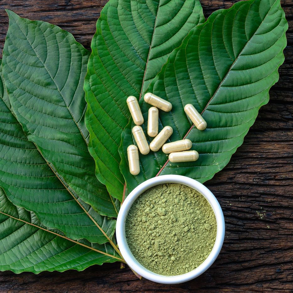 Kratom-Kapseln vs. Pulver – was sind Ihre Banknoten wert?
